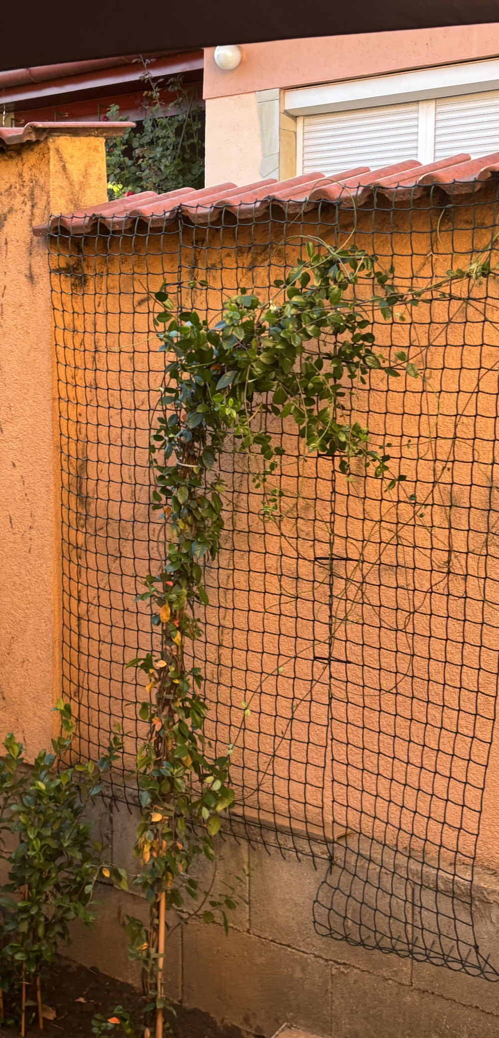 Növényfuttató háló - 5 m x 50 cm - vágható műanyag - sötétzöld