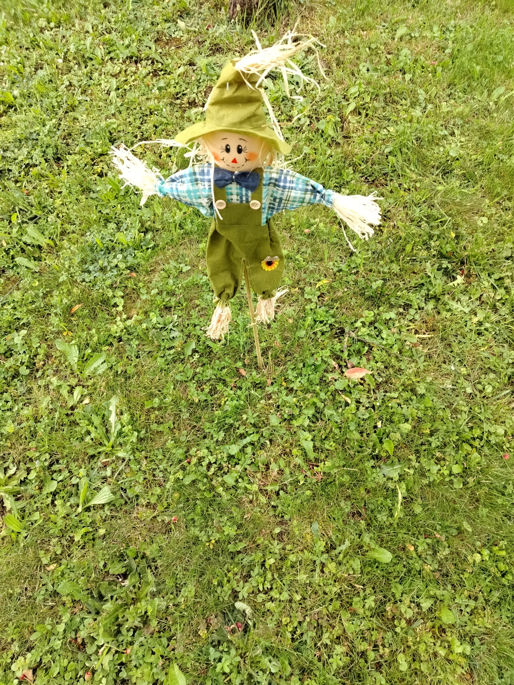 XXL Madárijesztő Kerti figura 4 féle 82 cm DECOnline Garden