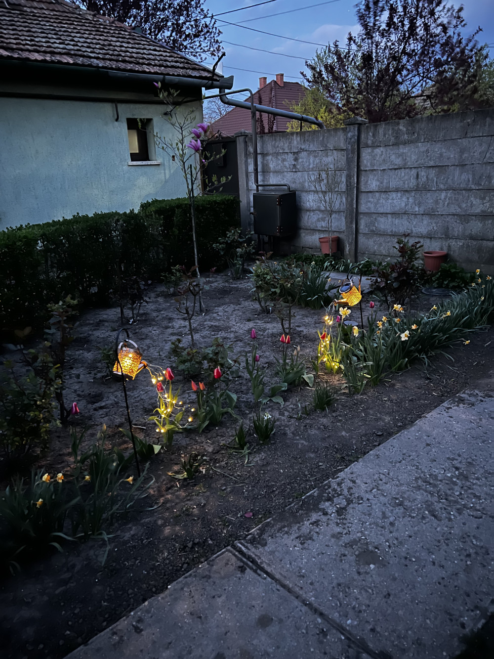 XL Napelemes locsolókanna világítás 37 LED